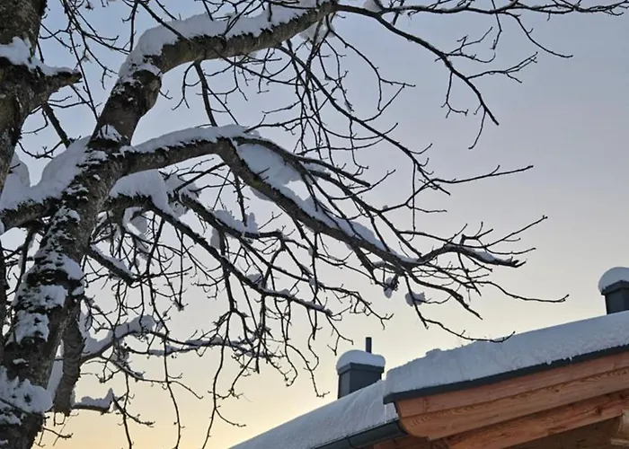 Schernthann Affittacamere Salvenberg